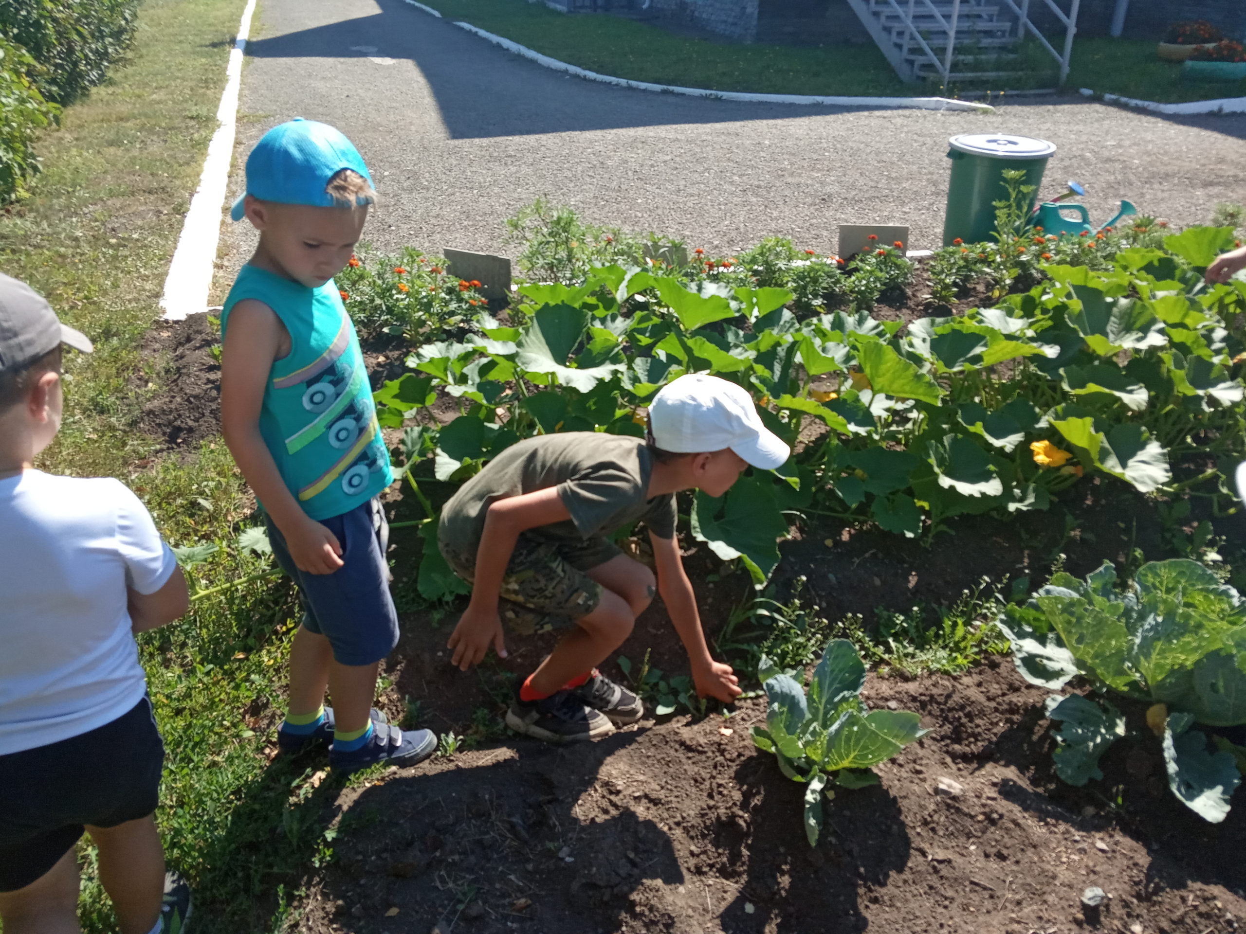 Посадили огород посмотрите что растет. Огород для детей. Огород в детском саду на улице. Мы садили огород в детском саду. Что посадить в огороде.
