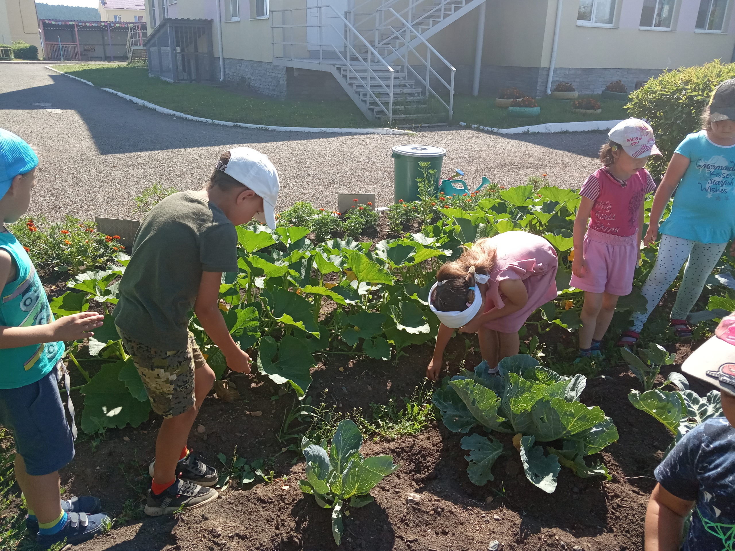 Посадили огород посмотрите что растет. Огород в детском саду на улице. Конкурс мини огород в детском саду на территории. Баннер огород в детском саду. Мы садили огород в детском саду.